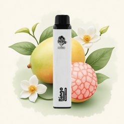 Aivono Aim Bingo 4000 Mango Lychee 1000mAh 10mL 5% nicotine