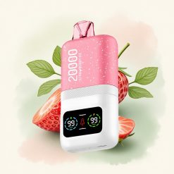 Aivono Aim Magic 20000 Aardbei IJs Dual Mesh 600mAh 5% Nicotine