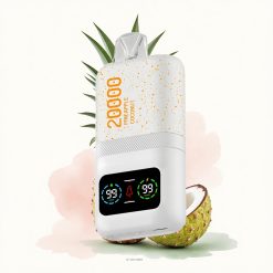 Aivono Aim Magic 20000 Ananas Kokosnoot Dual Mesh LCD 600mAh