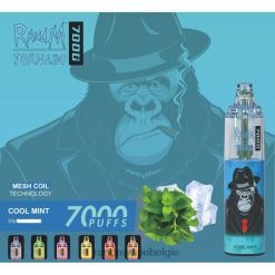 RandM Tornado Prijs | RandM Tornado 7000 vape-apparaat met luchtstroomregeling 1 st frisse munt FV0D6164