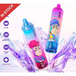 RandM Vape Prijs | Fumot RandM Tornado 15000 vape-apparaat met batterij en ejuice-display versie 2 blauwe razz-kers FV0D645