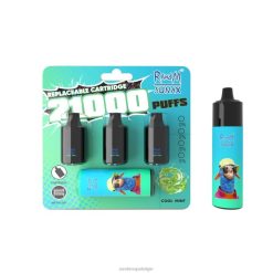 RandM Vape Prijs | RandM Sunax 21000 vervangbaar vape-apparaat voor luchtstroomregeling 1 st frisse munt FV0D6265