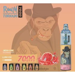 RandM Vape Prijs | RandM Tornado 7000 vape-apparaat met luchtstroomregeling 1 st weelderig ijs FV0D6165